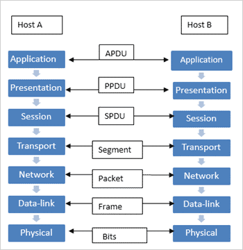 7 Layers of The OSI Model (A Complete Guide)