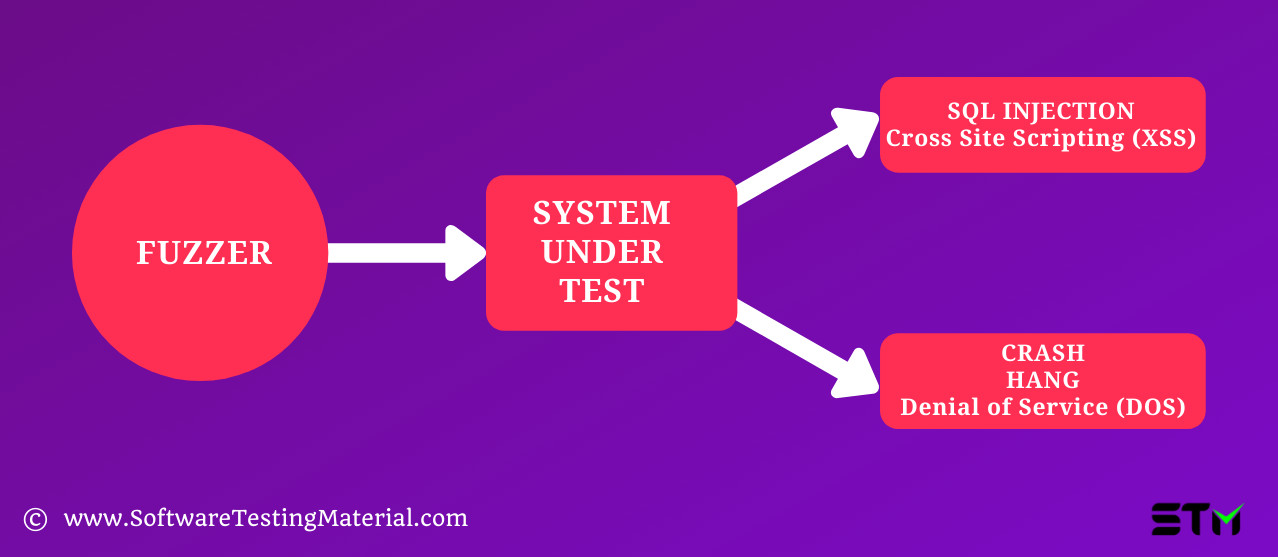 Fuzz Testing Guide What You Should Know