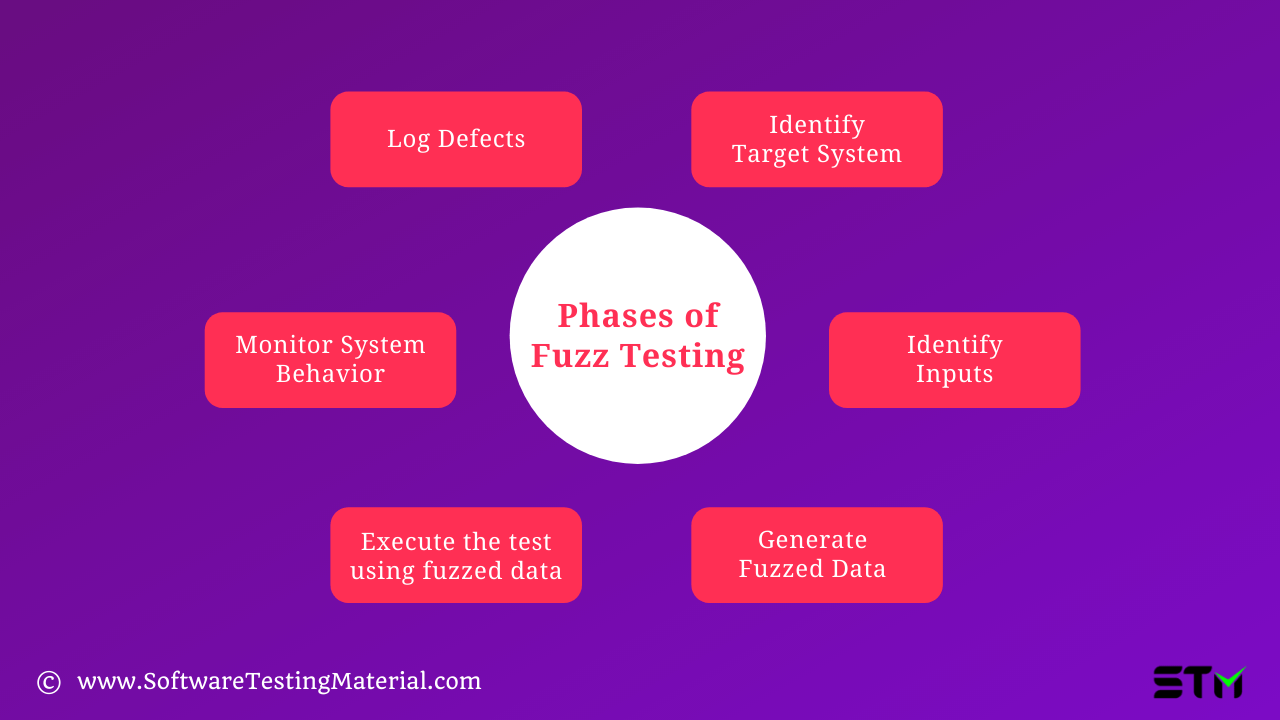 Fuzz Testing Guide What You Should Know