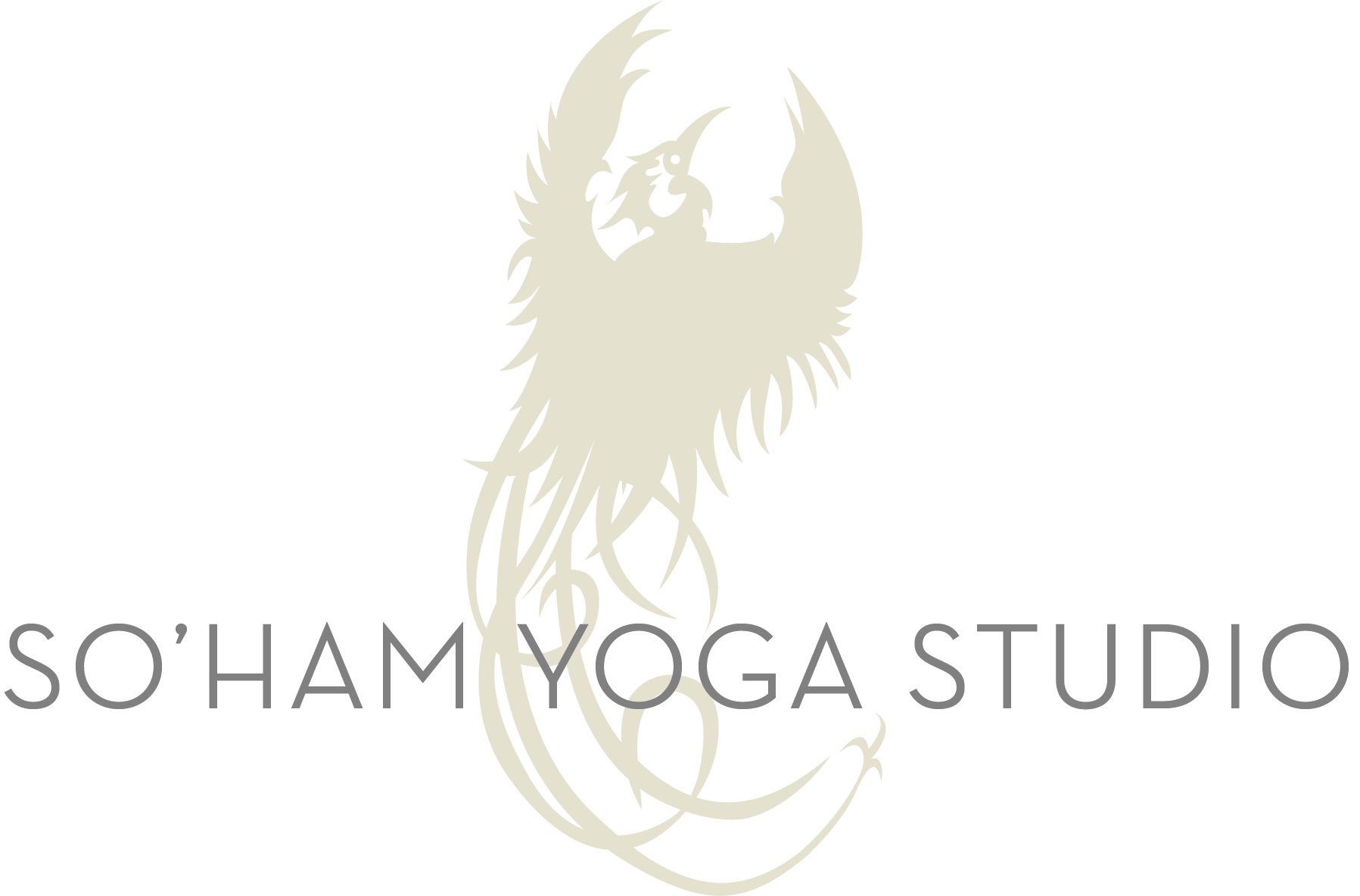 SOHAM YOGA STUDIO YOGA