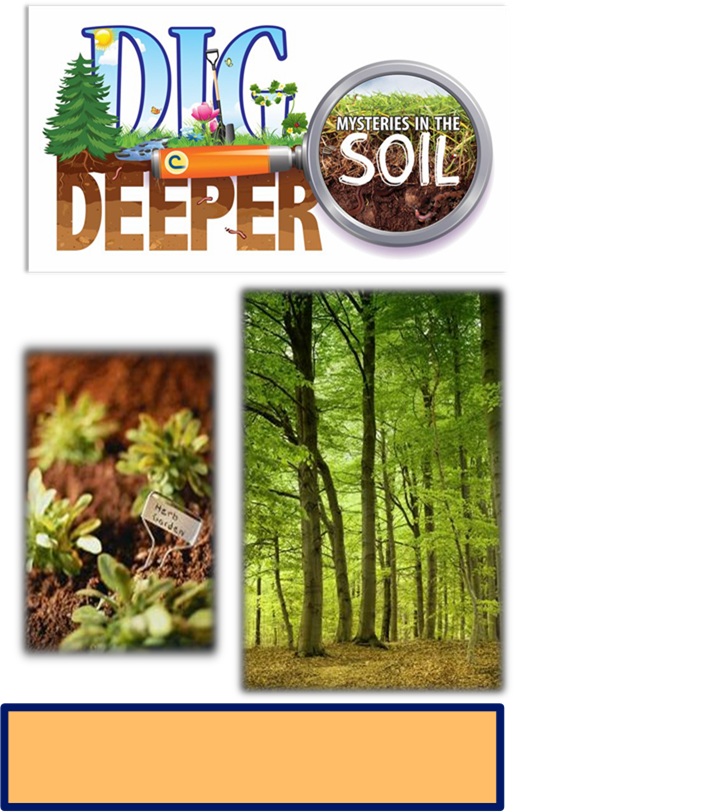 NJ Conservation 2016 Annual Poster Contest We All Need Trees Coming