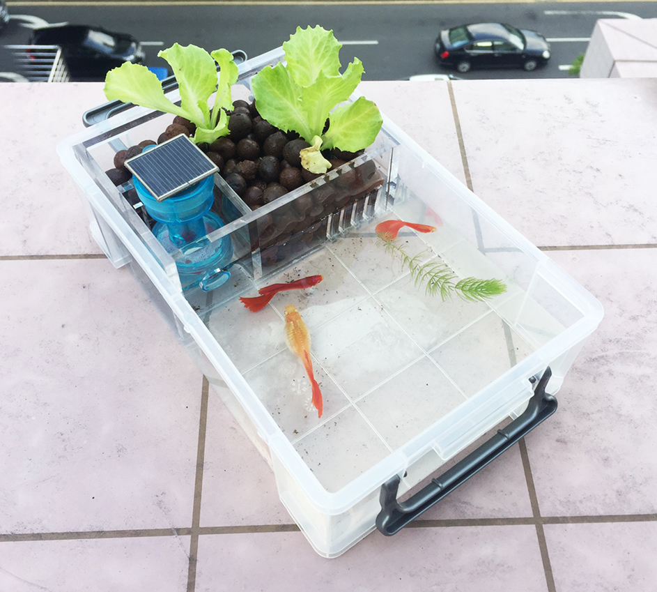 魚菜共生盒