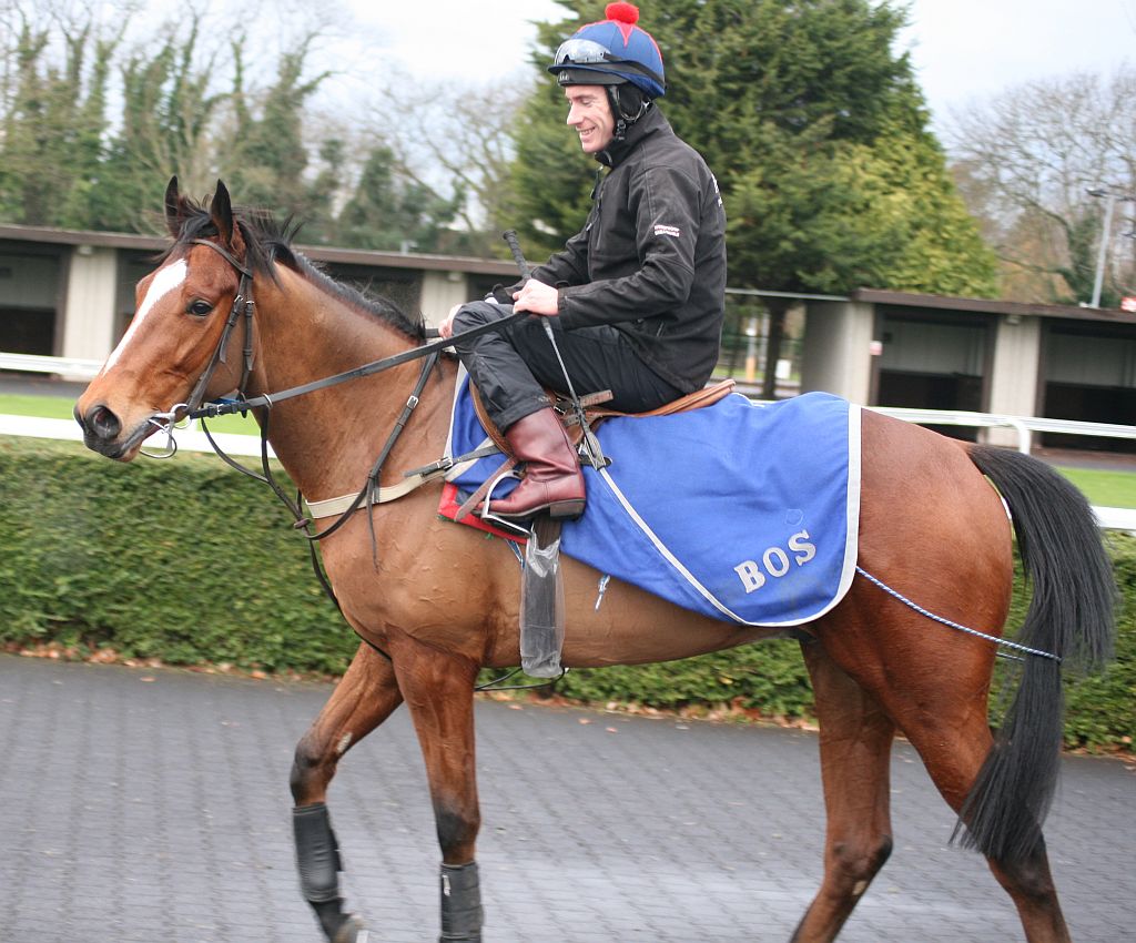 GUNNING FOR GLORY TO DEBUT AT KEMPTON Solario Racing