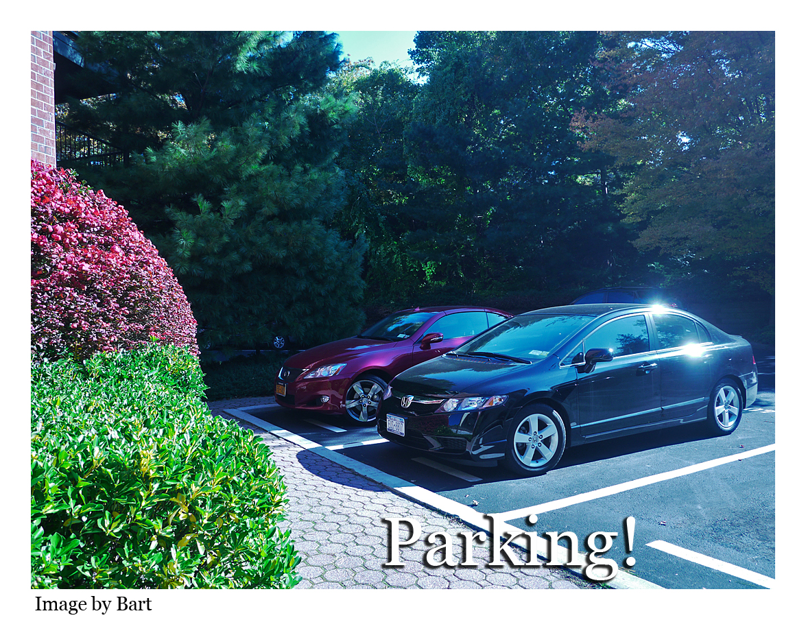 Ridgewood Condo Ridgewood Condos Ultra Modern condo in Ridgewood