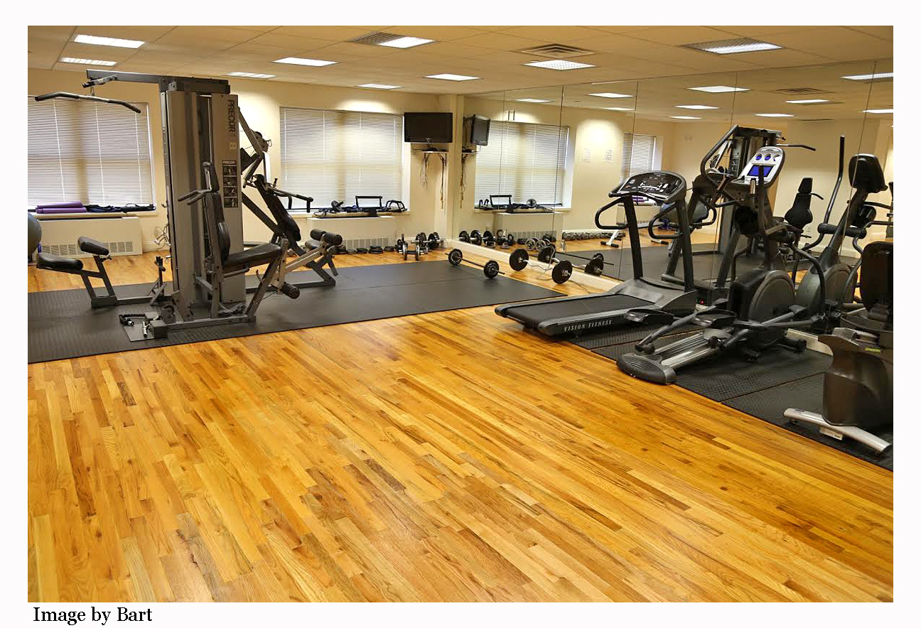 One bedroom condo for sale in Briarwood Queens Briarwood Condo