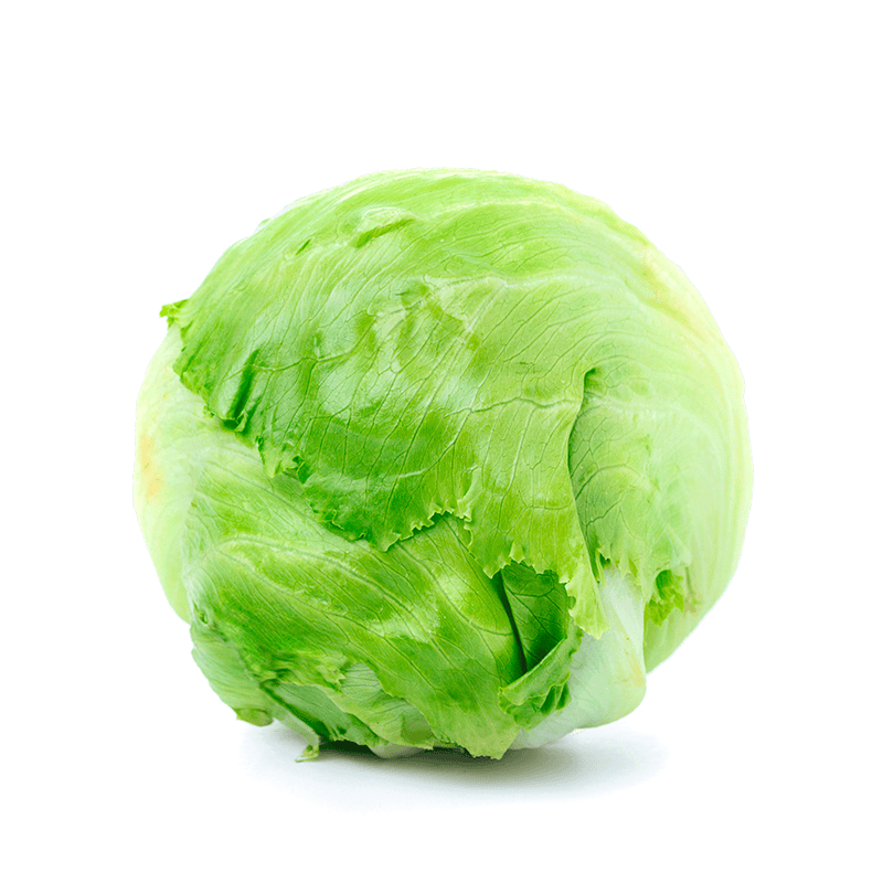 Lechuga Iceberg Sol de Levante