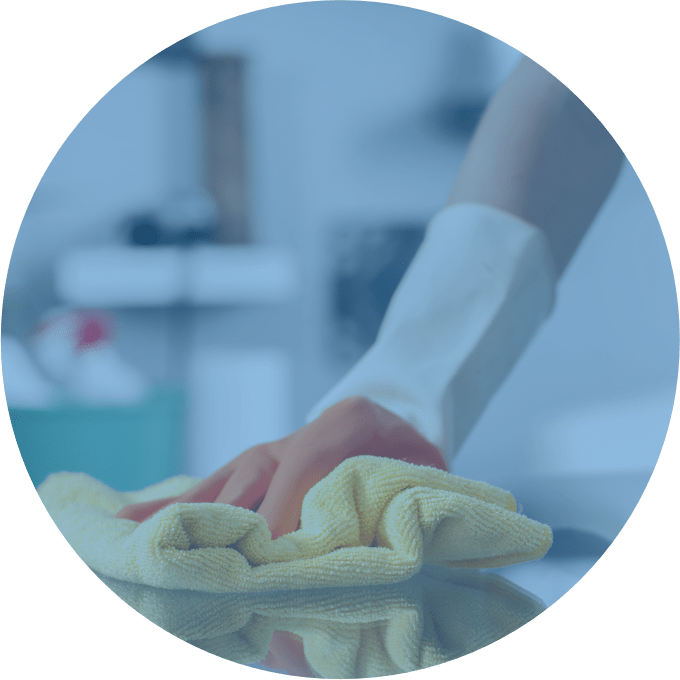 Domestic cleaner carpet cleaning R&R Solid Cleaning Ltd.