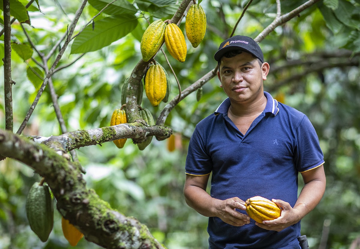 Building cocoa farmers' capacities strengthens family