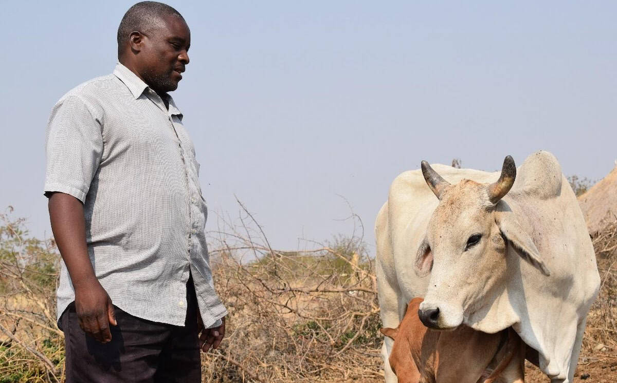 Sustainable livestock management improves livelihoods and landscapes in