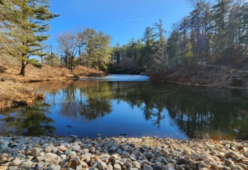 Local Insights from Extraordinary Professionals Solidifi