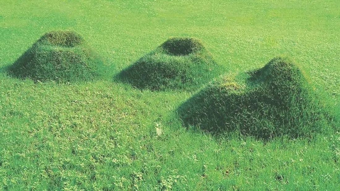 The TERRA! Growing Furniture Kit Aids You in Growing Living Grass