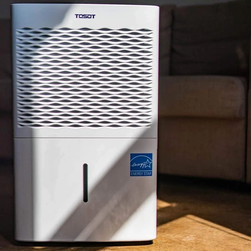 Top 5 Best Dehumidifiers for Basement - SolidSmack