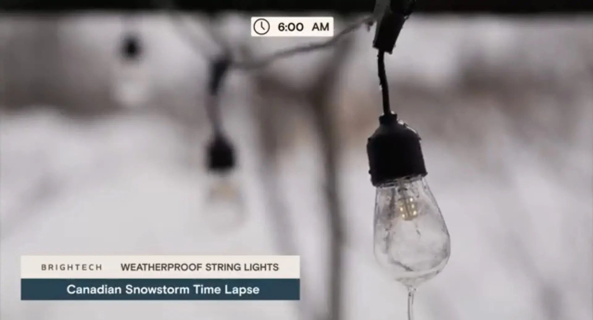 Best Solar String Lights for Your Backyard and Garden (2021 Review)