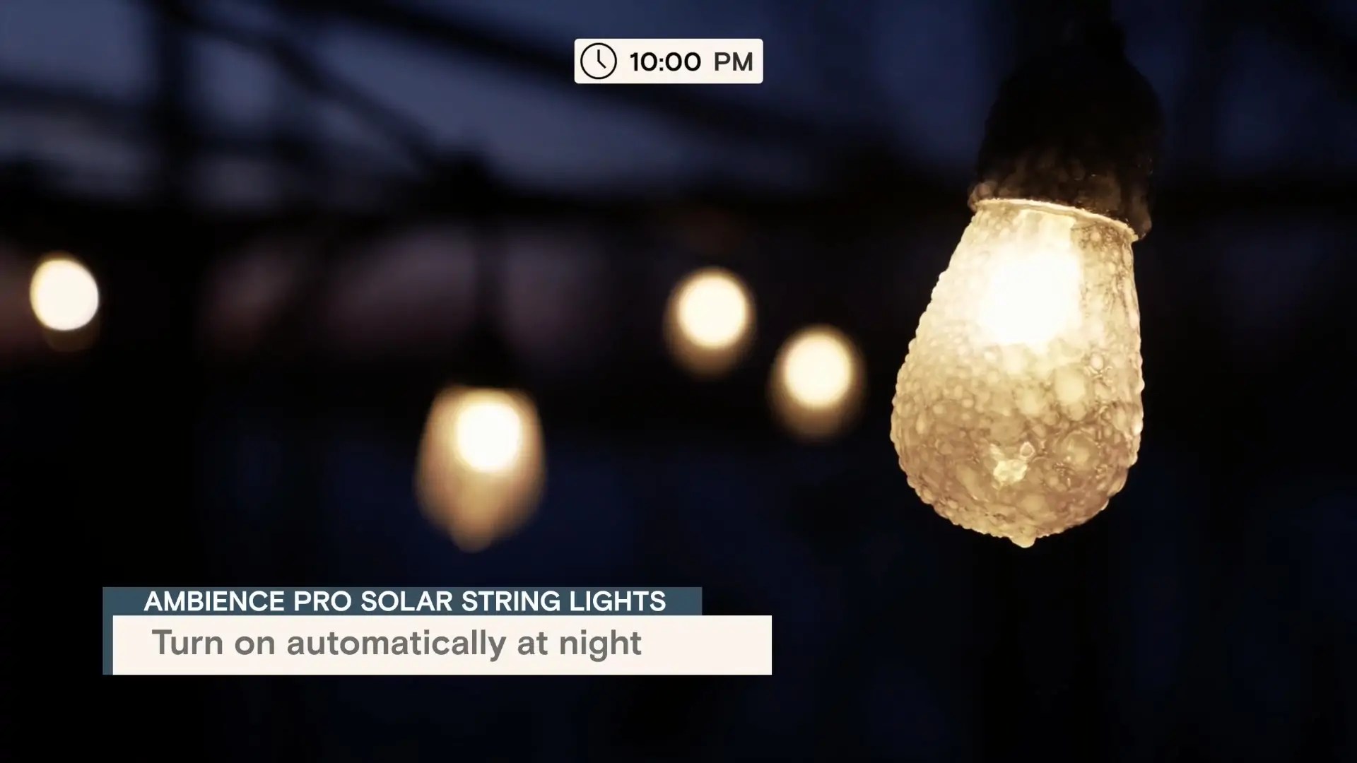 Best Solar String Lights for Your Backyard and Garden (2021 Review)