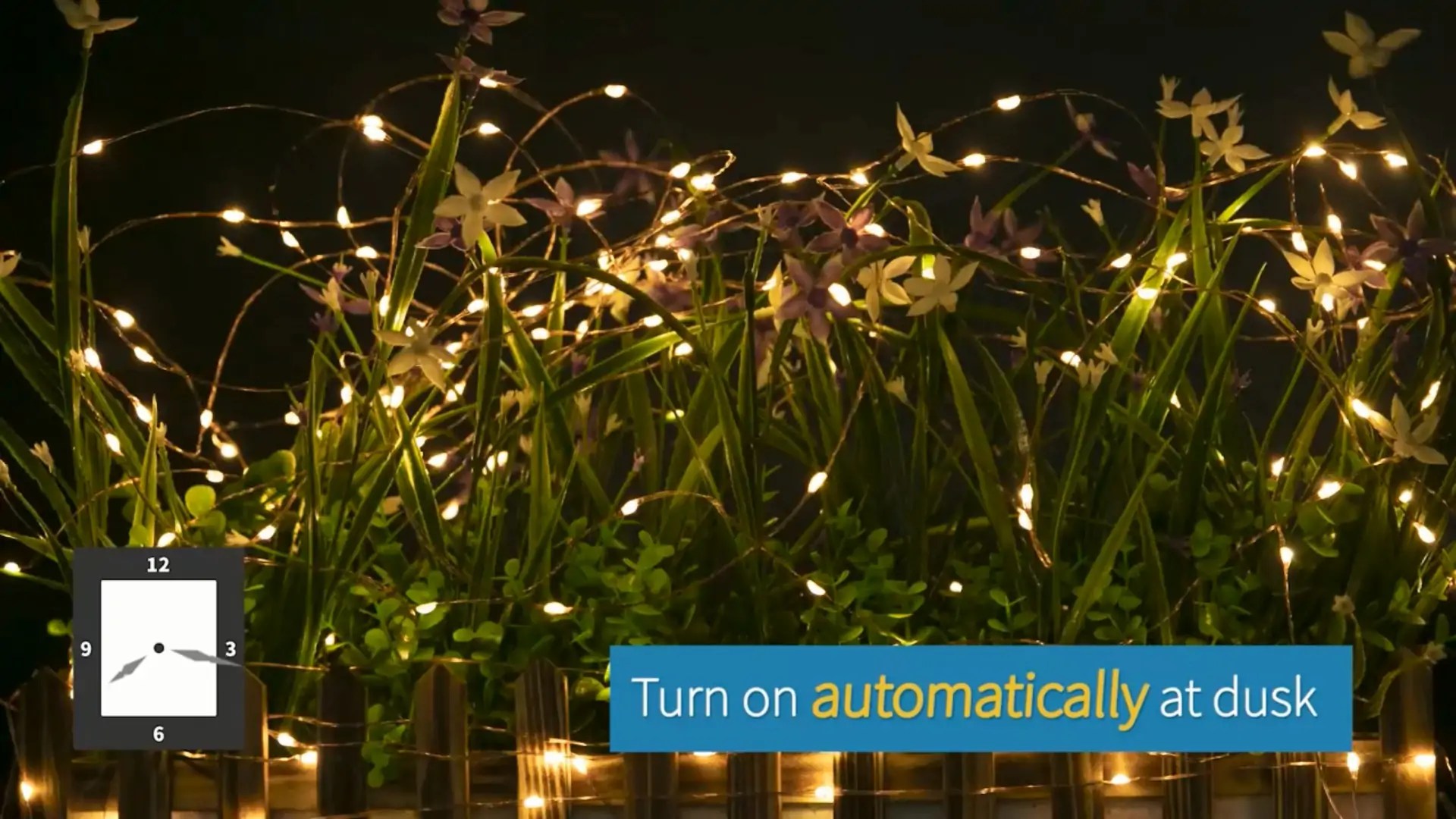 Best Solar String Lights for Your Backyard and Garden (2021 Review)