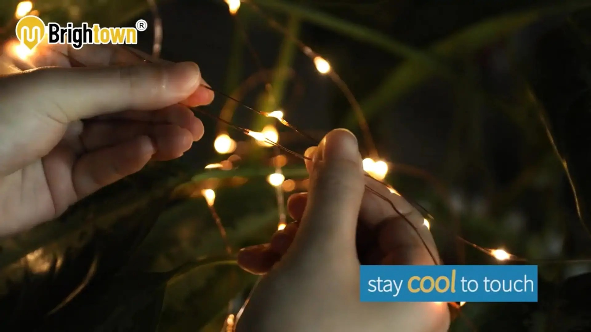 Best Solar String Lights for Your Backyard and Garden (2021 Review)