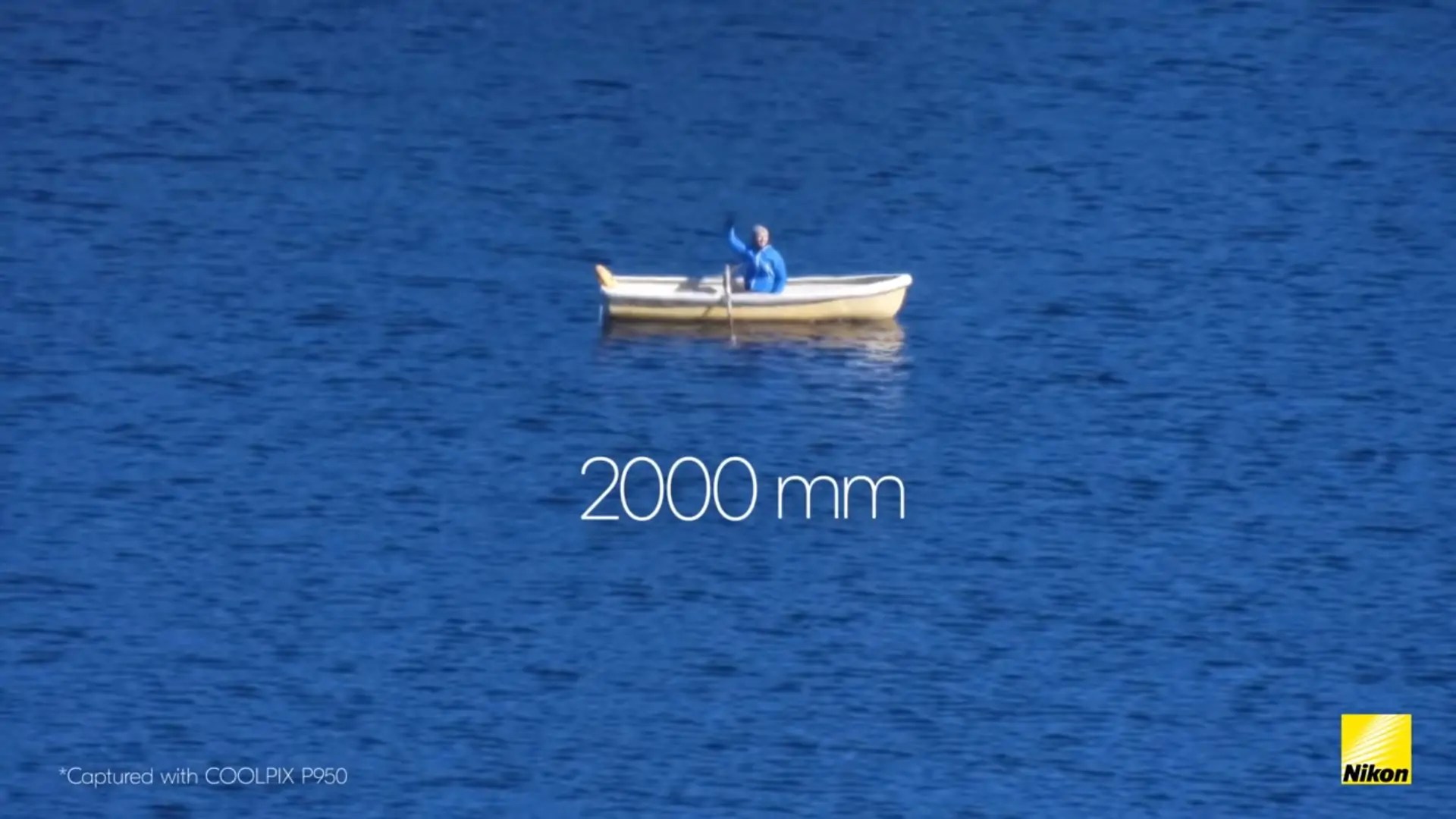 Best Bridge Cameras for Portraits and Wildlife Photography