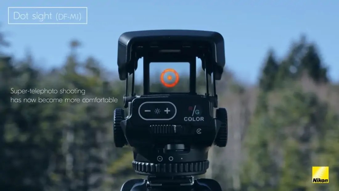 Best Bridge Cameras for Portraits and Wildlife Photography