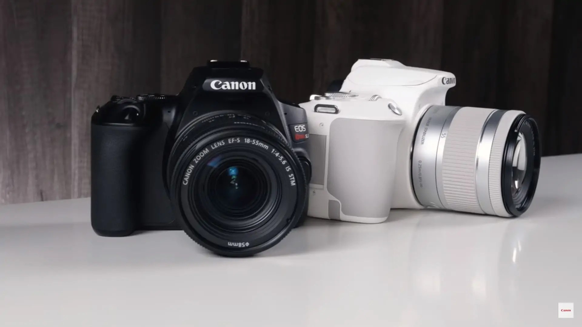 Best Budget DSLR This 2021 Review and Buyer’s Guide