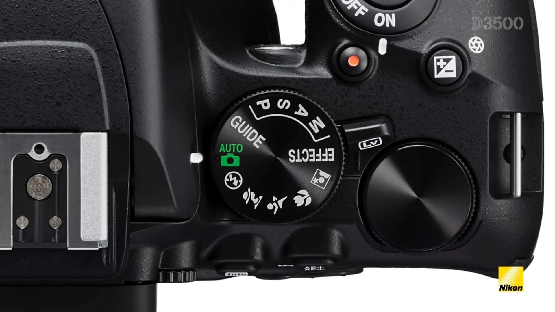 Best Budget DSLR This 2021 Review and Buyer’s Guide