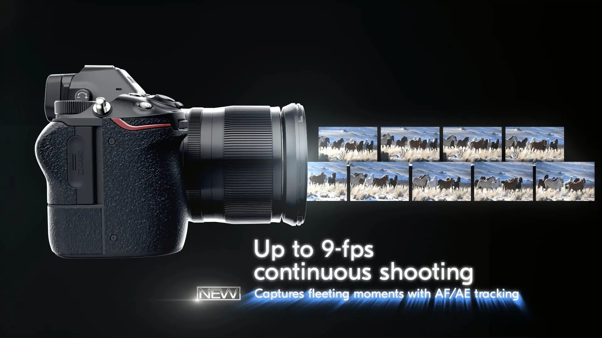 Best Cameras for Portraits 2021 Buyer's Guide & Review