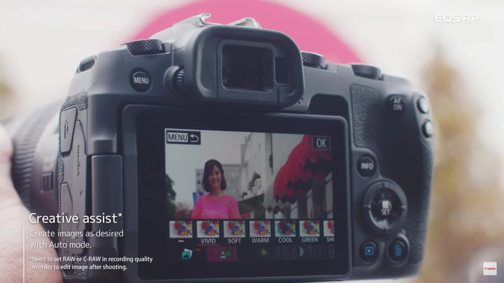 The Best Cameras Under 1000 for All Types of Photographers