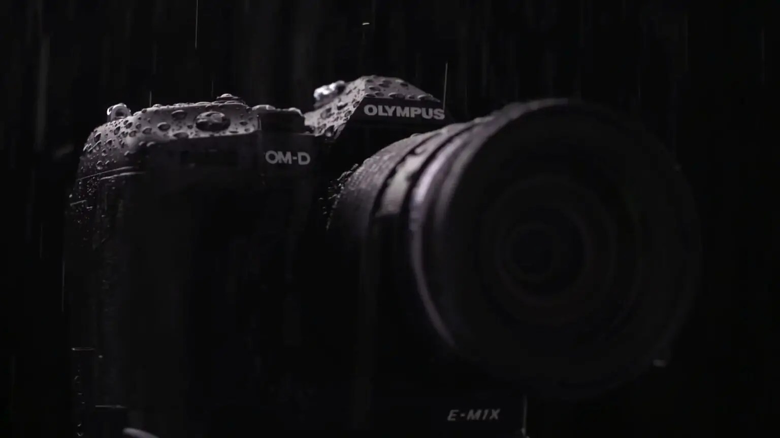 Best Cameras for Wildlife Photography in 2021