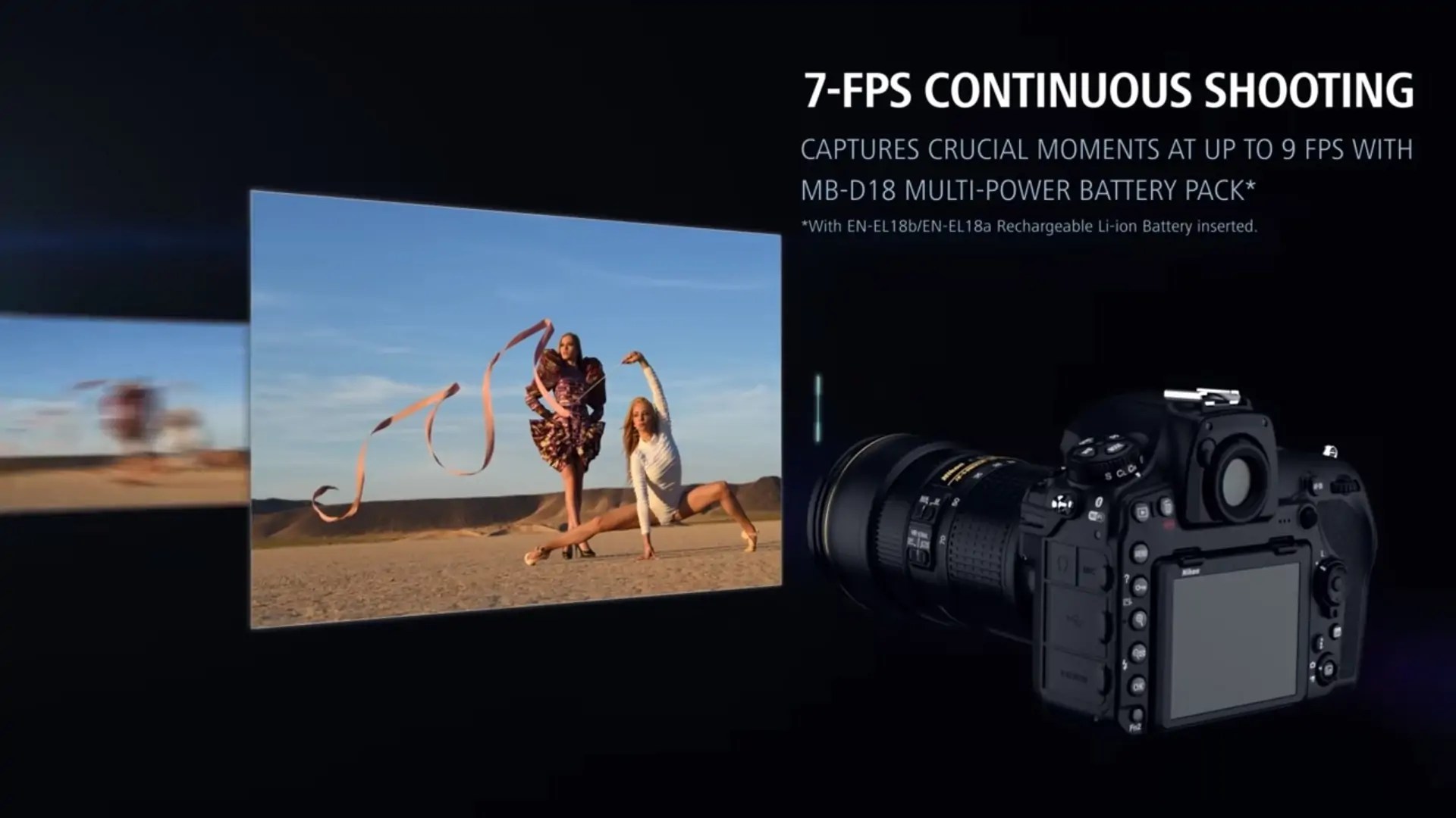 Best Cameras for Wildlife Photography in 2021