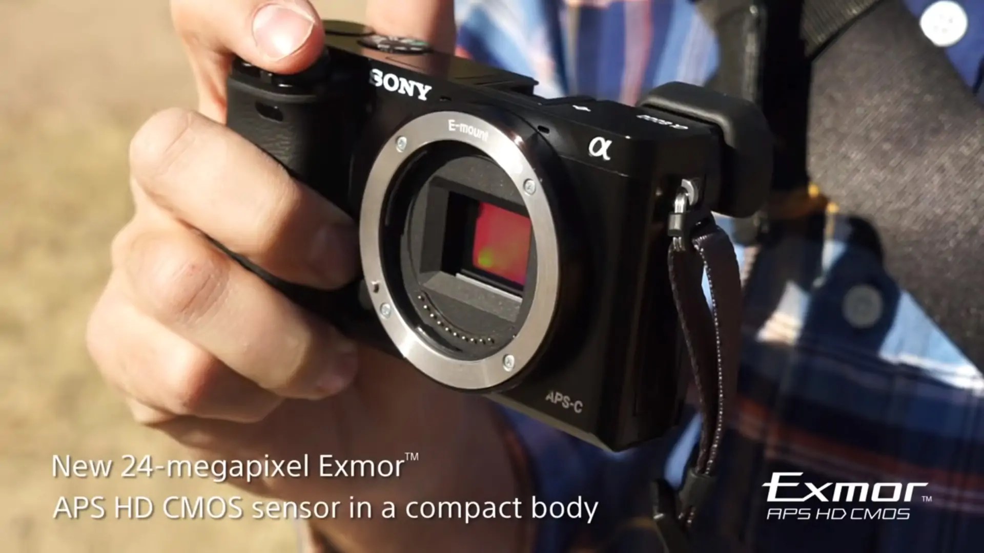 Best Budget Mirrorless Cameras for All Types of Shooters