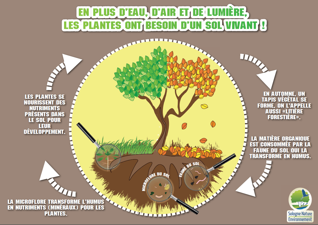 Sologne Nature Environnement