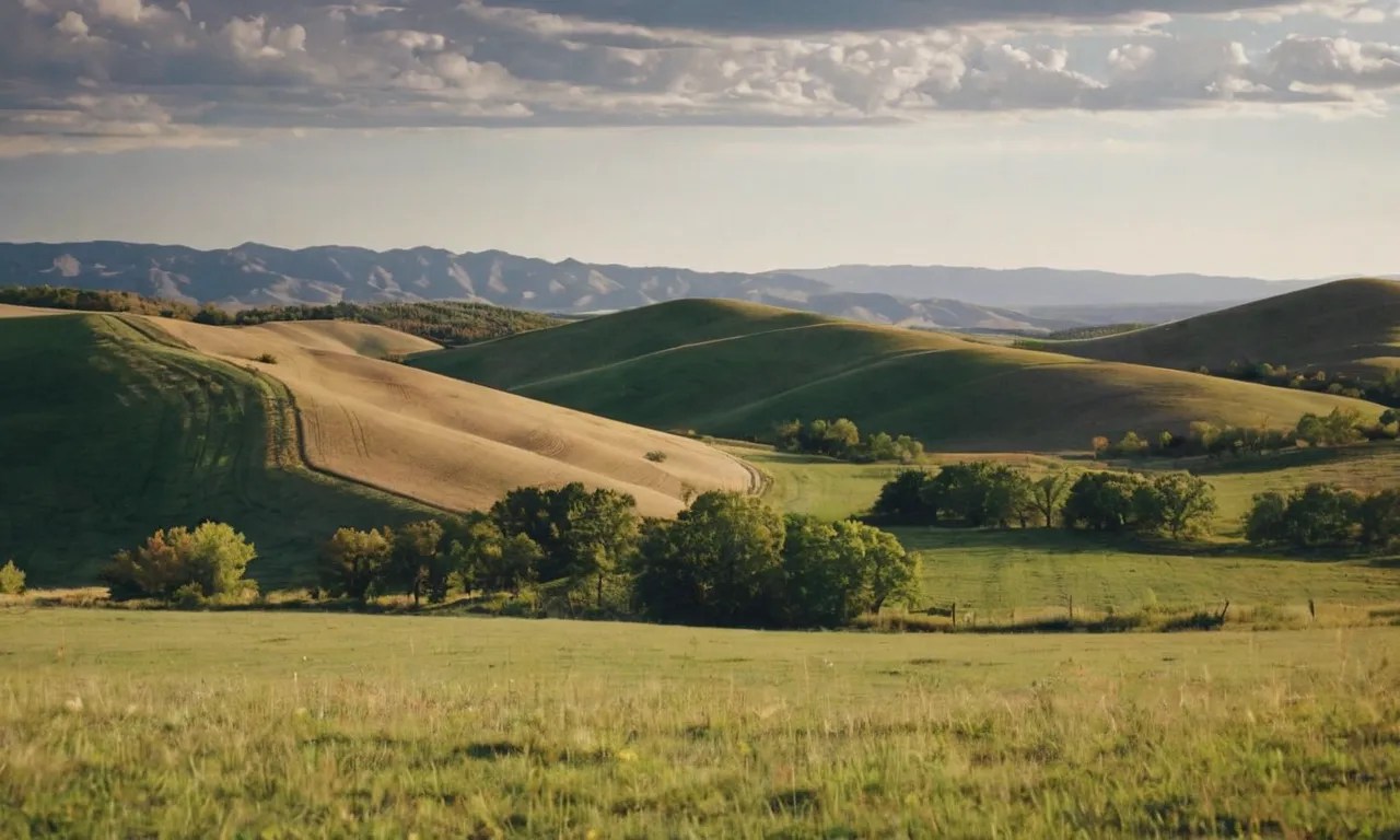 What States Do Not Have Walmart?