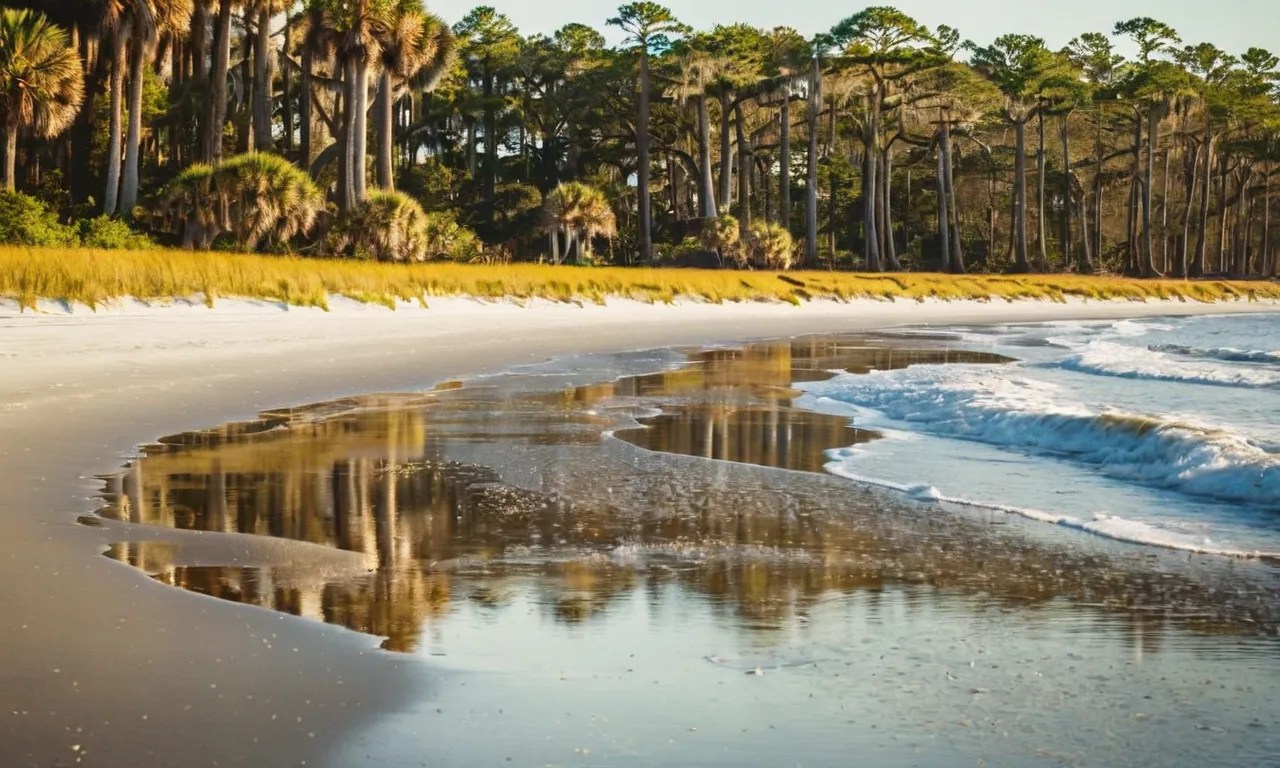 Uncovering The Reasons Behind Jekyll Island'S Brown Water
