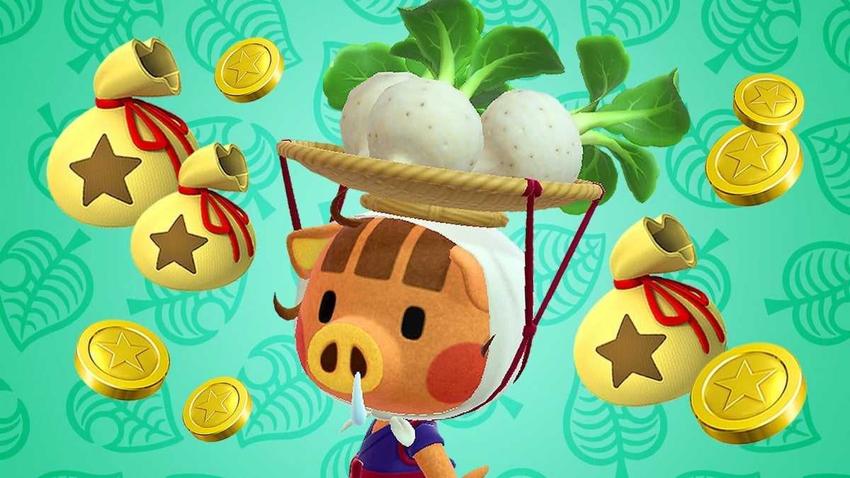 How To Know The Current Prices Of Turnip In Animal Crossing New