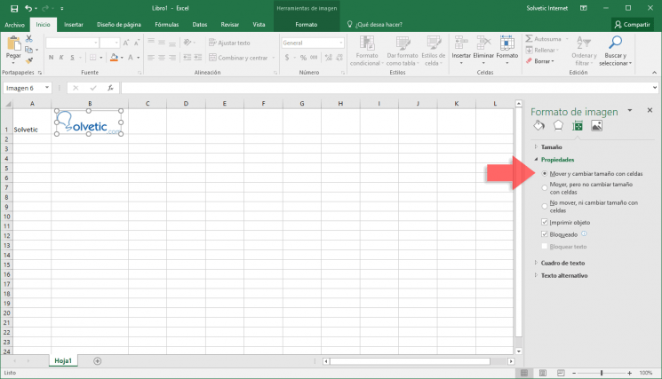 Cómo insertar imagen Excel en celda, comentario o
