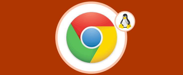 Instalar Chrome en Linux exportando de Windows 10 Solvetic