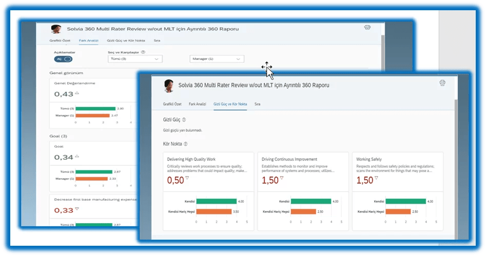 SAP SuccessFactors Performance and Goal Management • Solvia