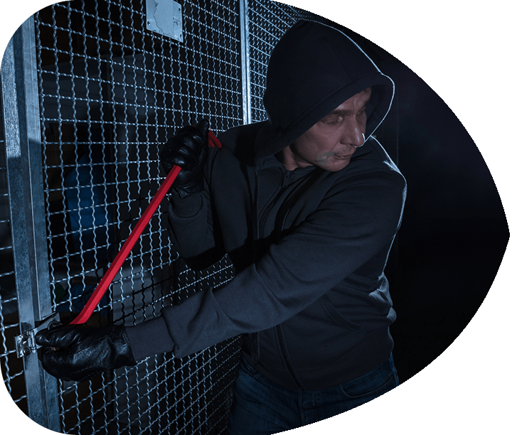 Outdoor Storage SolvLive