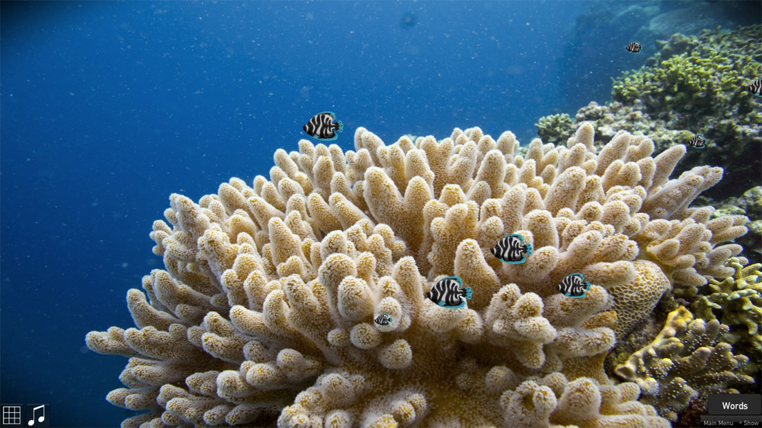 Alive Pioneer with GP8 Amp Package