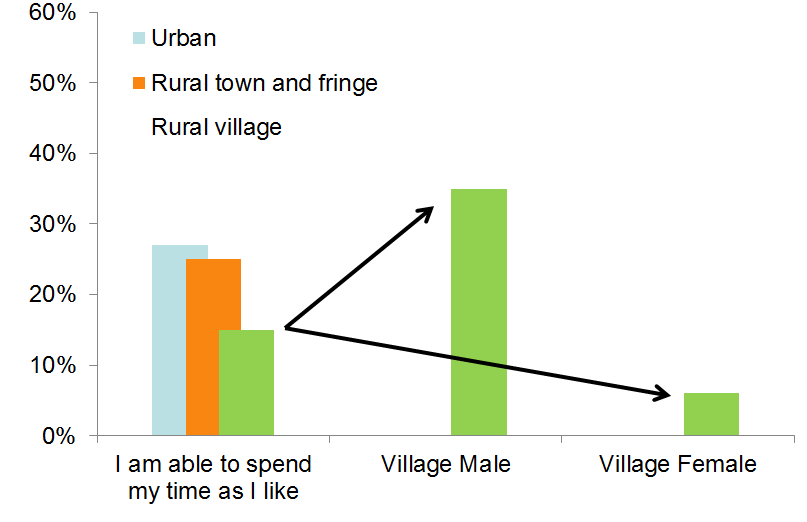 Adult Social Care Survey 2013/14 RuralUrban Analysis Somerset