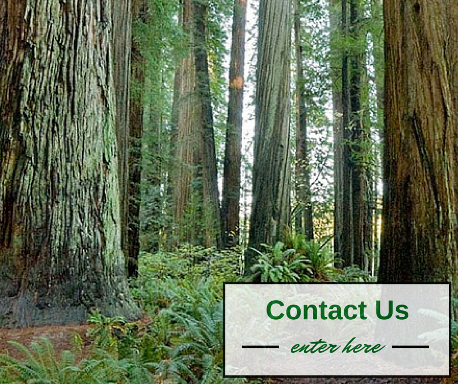 Somerset Doors and Windows Supplying windows, doors, and hardware to