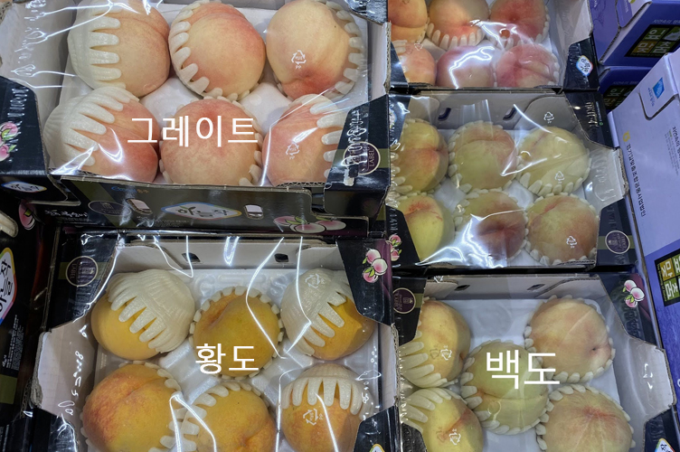 Korean Peaches SomethingJAM!