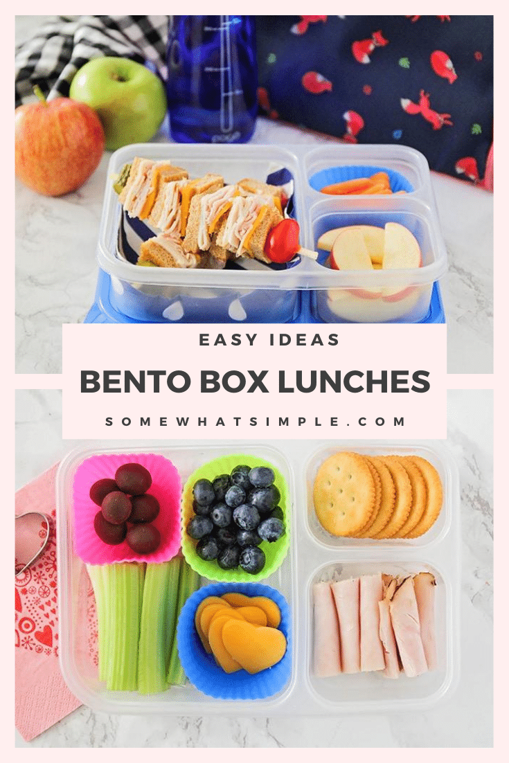Bento Box 15 Bento Boxes for Kids Somewhat Simple