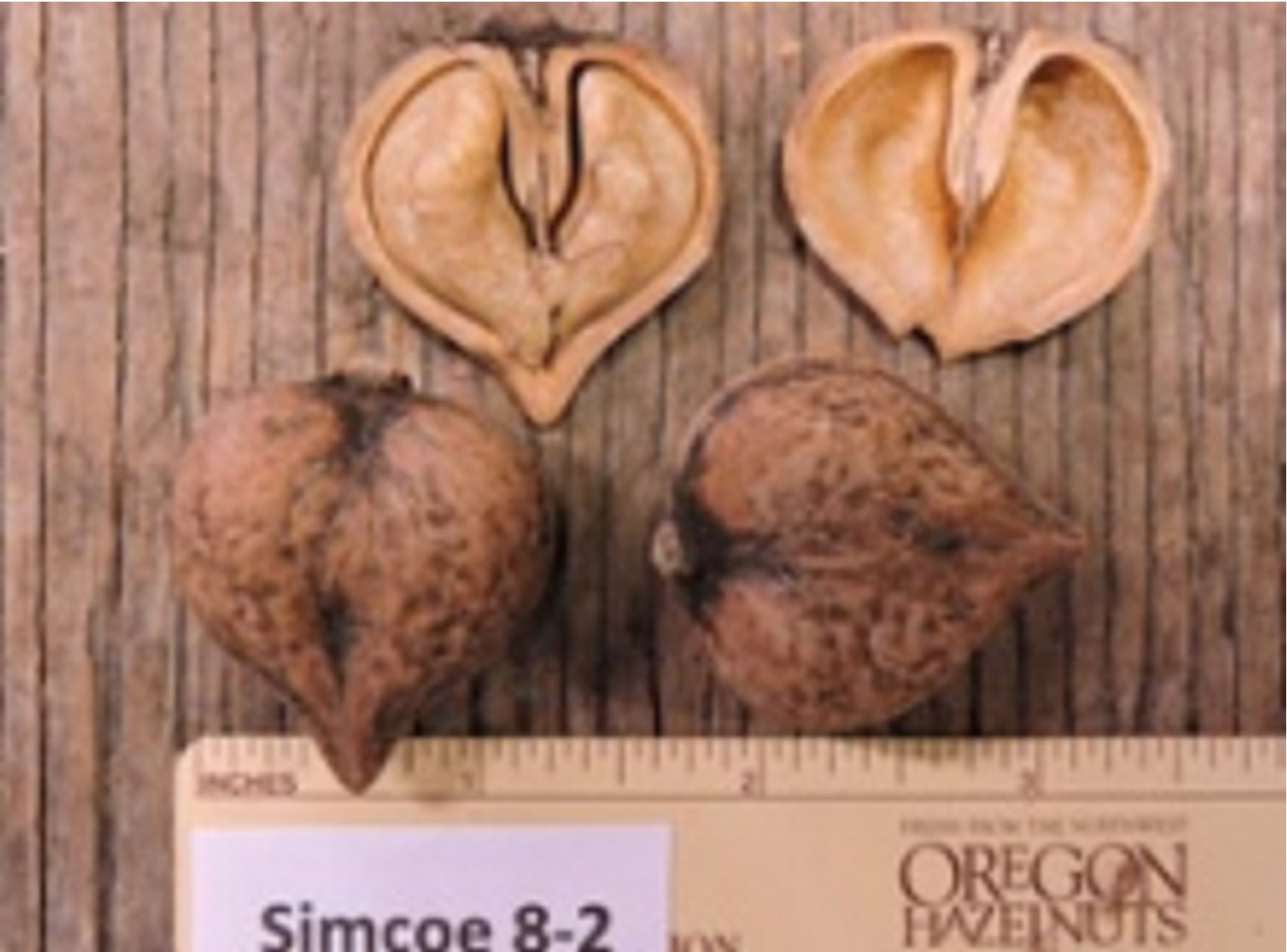 Heartnuts Native to Japan but grow well in the Great Lakes Region