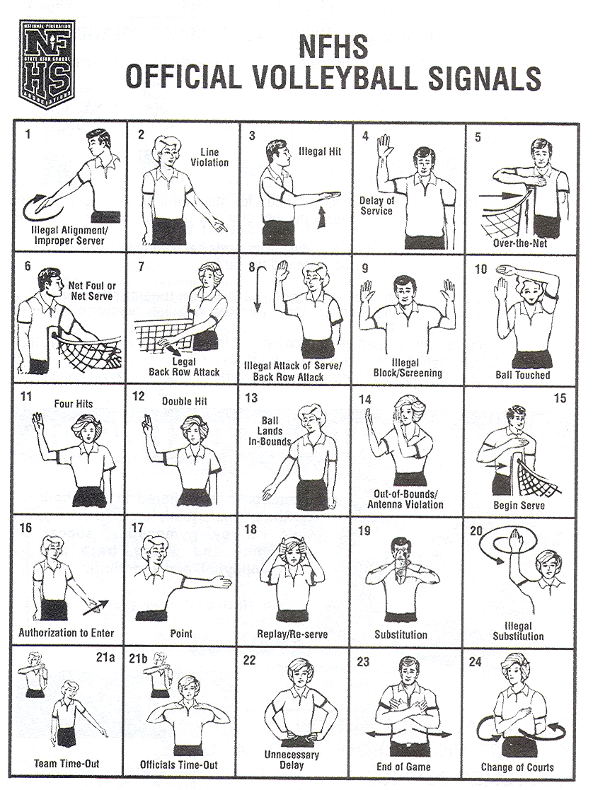 VOLLEYBALL SPECTATOR GUIDE