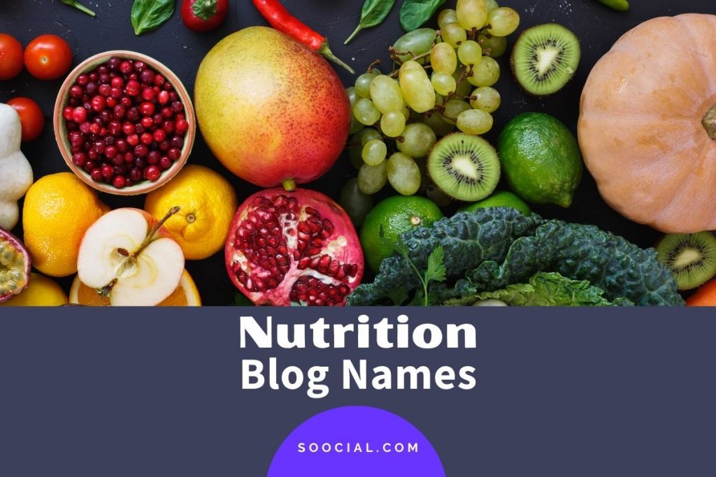 467 Nutrition Blog Name Ideas To Fuel Your Blogging Journey Soocial