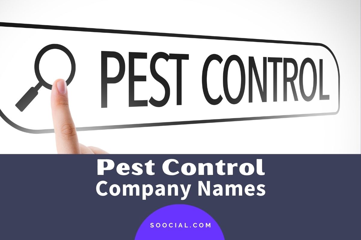 387 Pest Control Company Name Ideas To Trap Your Market Soocial