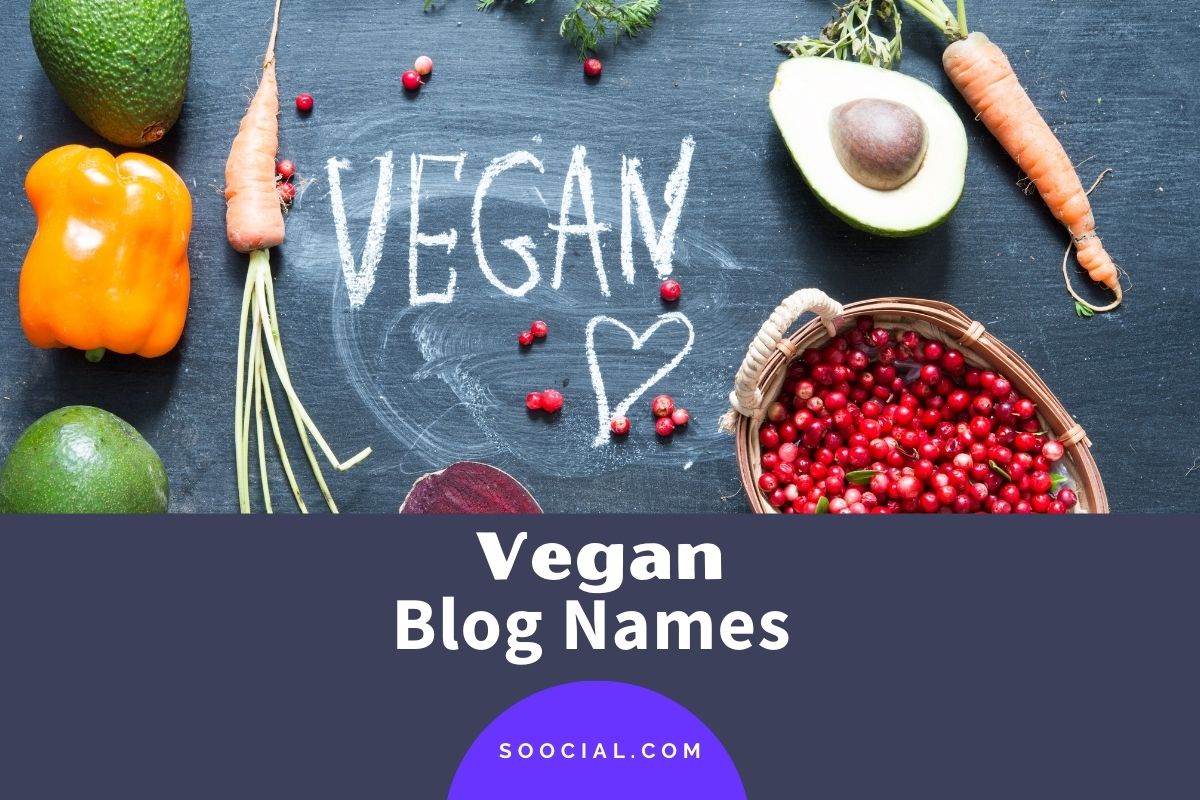 517 Vegan Blog Name Ideas To Sprout in Full Bloom Soocial