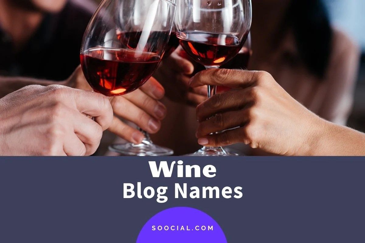 329 Wine Blog Name Ideas For a Taste of Blogging Success Soocial