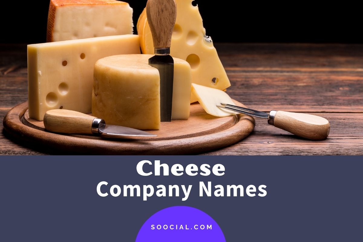 253 Cheese Company Name Ideas to Cheese up Your Brand Soocial