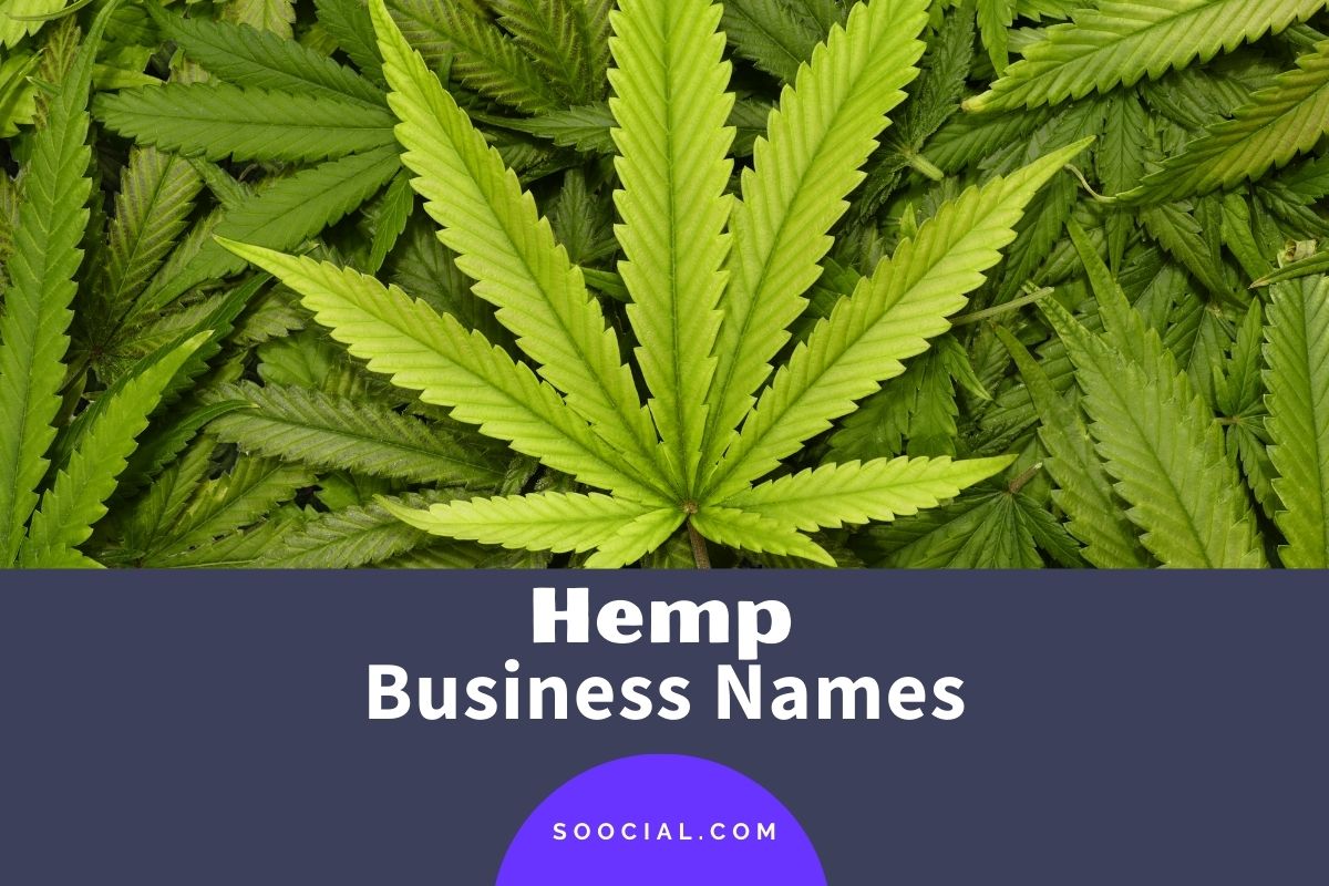 277 Hemp Business Name Ideas that Will Get You Super High Soocial